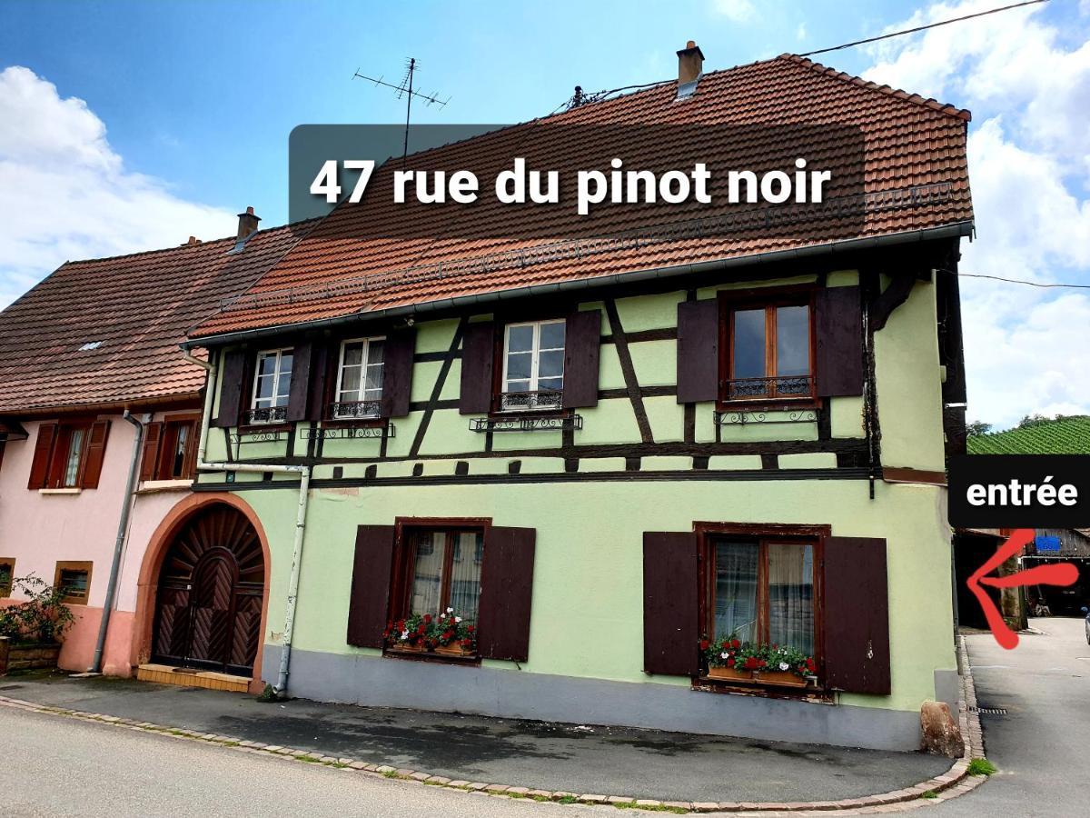 Charmant Appartement Alsacien Rodern 外观 照片